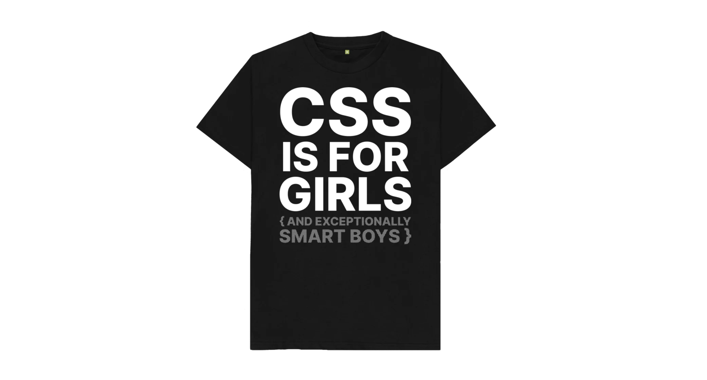 CSS IS FOR GIRLS and exceptionally smart boys